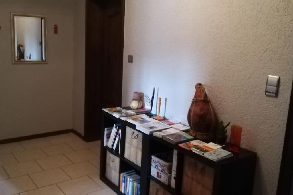 Chez Mamilou Apartment Soufflenheim Екстериор снимка