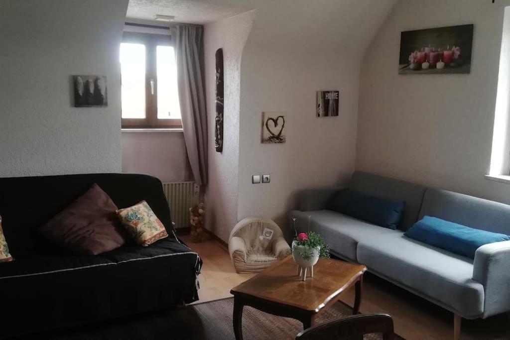 Chez Mamilou Apartment Soufflenheim Екстериор снимка